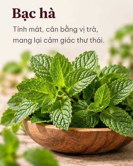 Bạc hà: tính mát, cân bằng vị trà, mang lại cảm giác thư thái