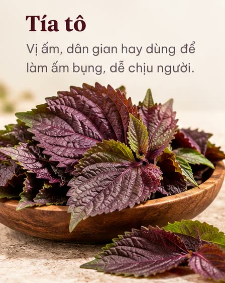 Tía tô: vị ấm, dân gian hay dùng để làm ấm bụng, dễ chịu người